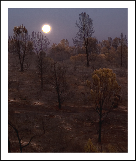 Full moon over Skyway burn