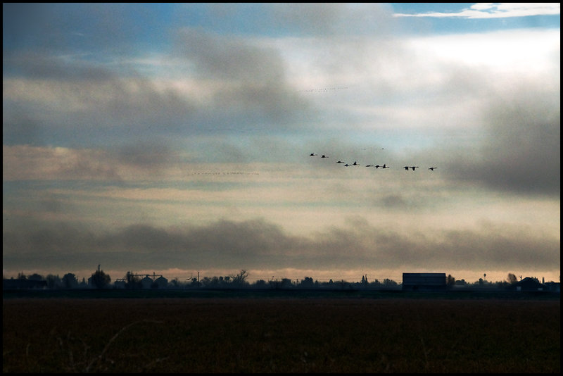 Early morning flight