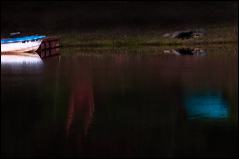 Boat and cat