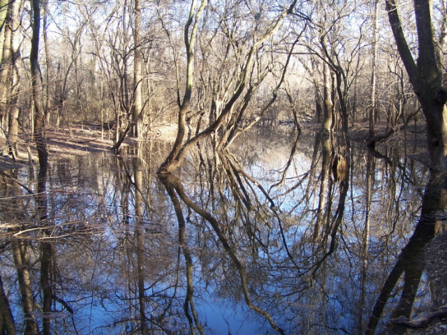 reflect2.jpg