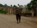 carrying a heavy load uphill.JPG