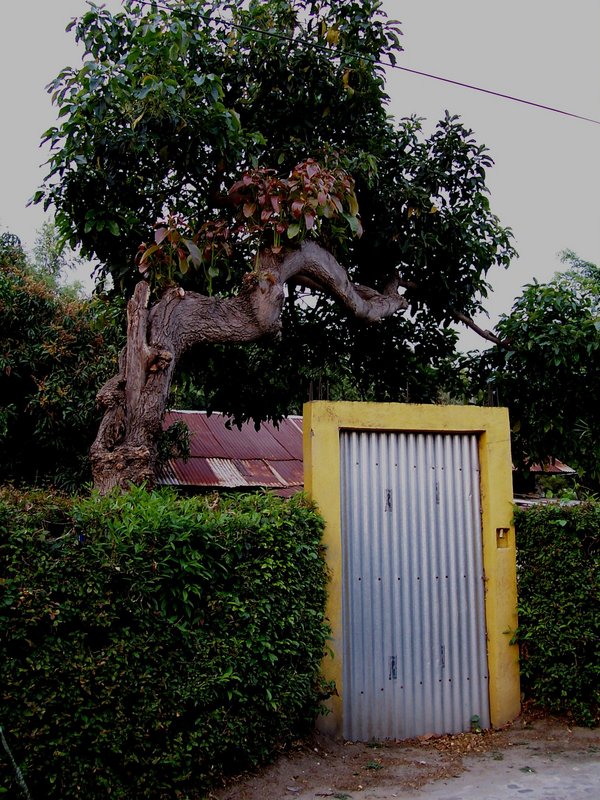 nature makes beauty where man cannot.JPG