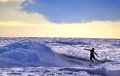 surf.jpg