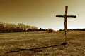 Dry Season on the Bayou