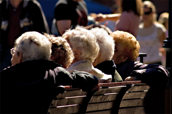 Ladies Day Out