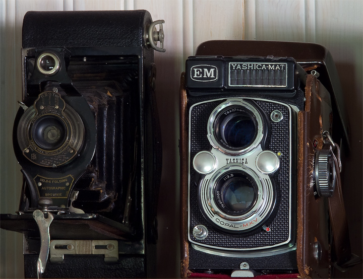 Brownie & Yashica