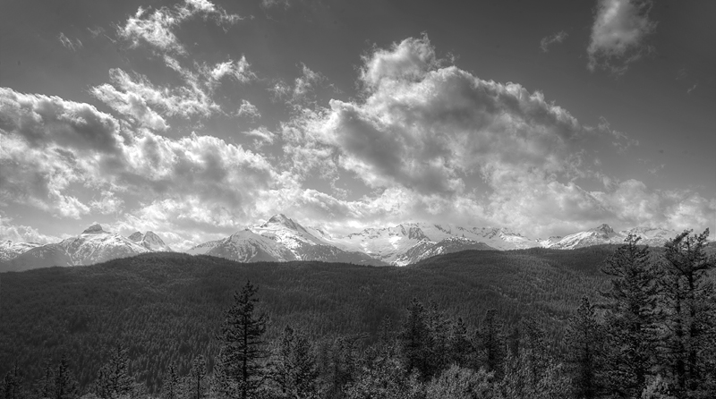 B&WLandscape