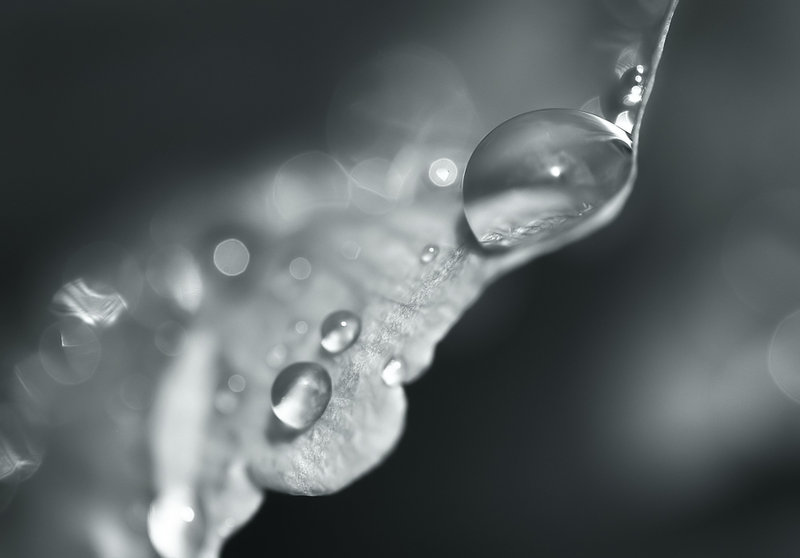 droplets