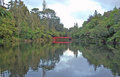Pukekura Park