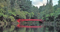 Pukekura Bridge