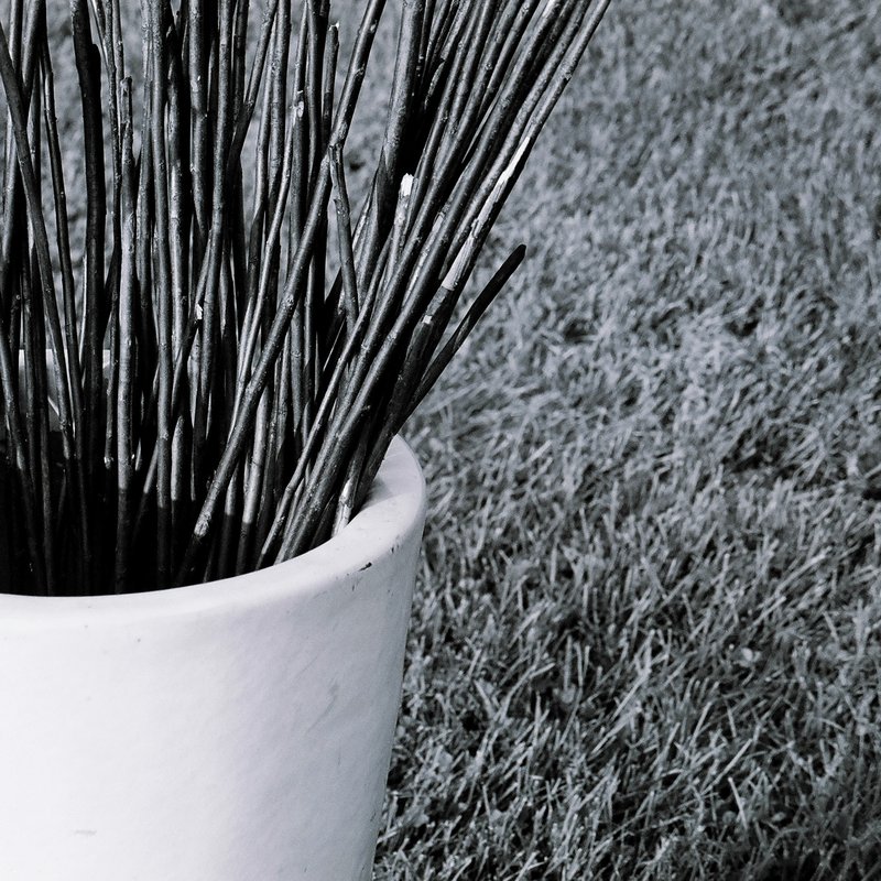 sticks