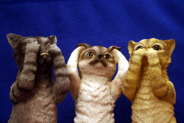 Three Cool Cats.jpg