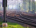 rail 2006.jpg