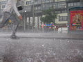 sound of summer 2005.jpg