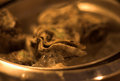 Oyster