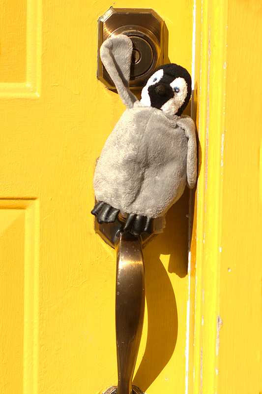 Lostdoor