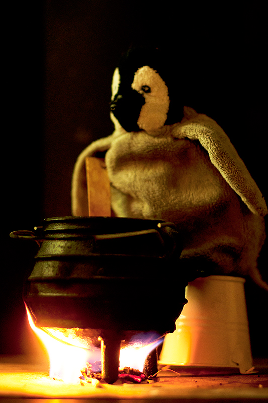 Lostcauldron