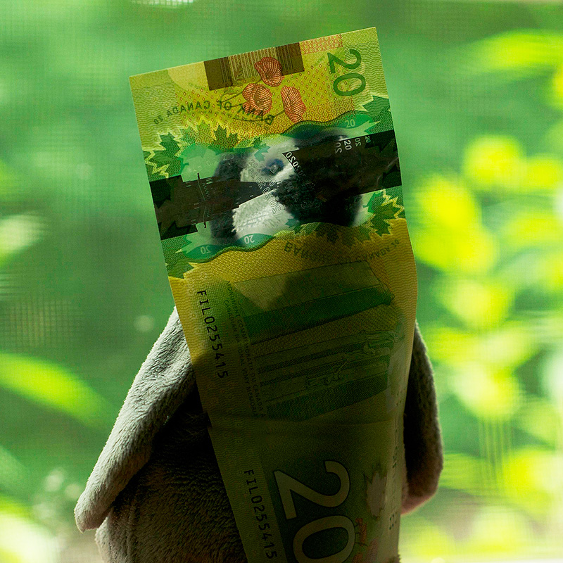 Lost$$$