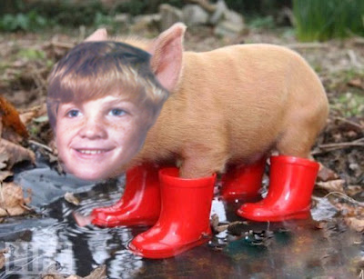 Shanspigbrother