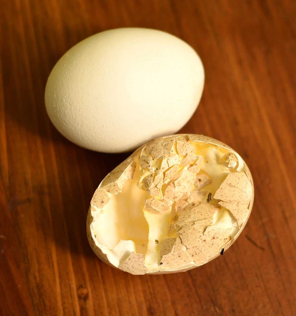 brokenegg