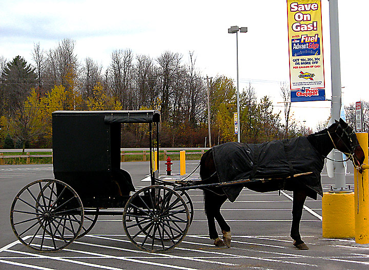 Save on gas - the Amish Way!