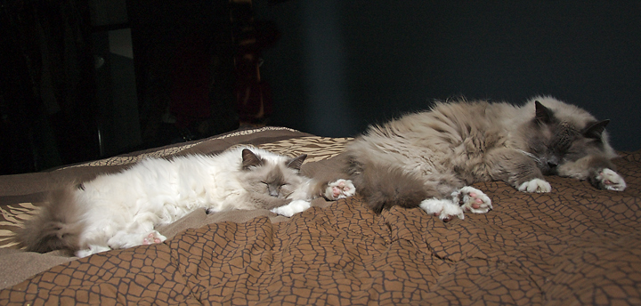 synchronizedsleeping.jpg
