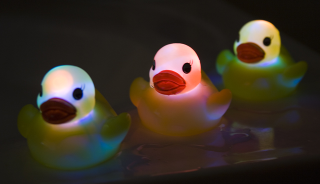 ducky_002.jpg