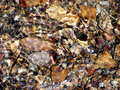 Babbling Brook