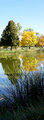 Reflections of Fall