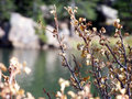 Fall 4