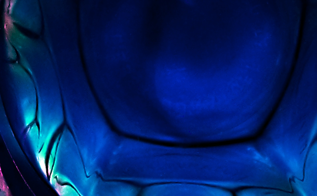 Abstract Macro II - Outtake 2