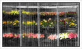 monet's greenhouse