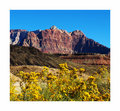 Zion-National-Park.jpg