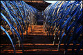 wheel-line-wheel-2.jpg