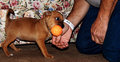 this is my ball