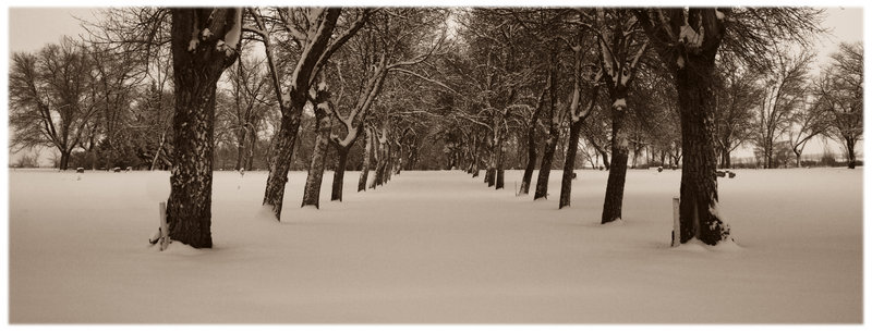 winter lane