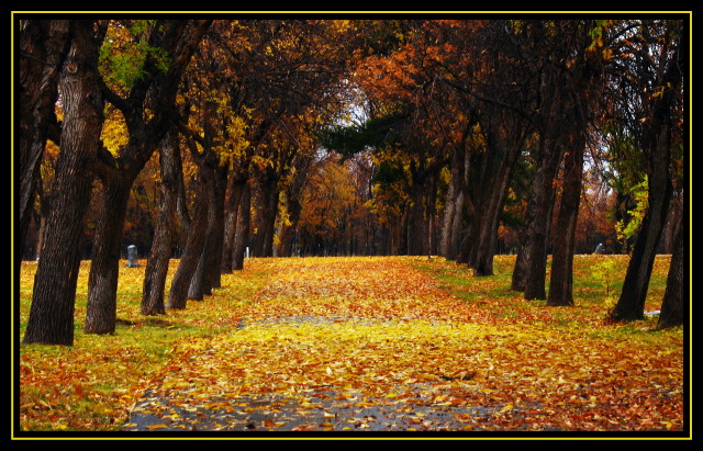 Autumn land 2.jpg