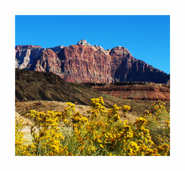 Zion-National-Park.jpg