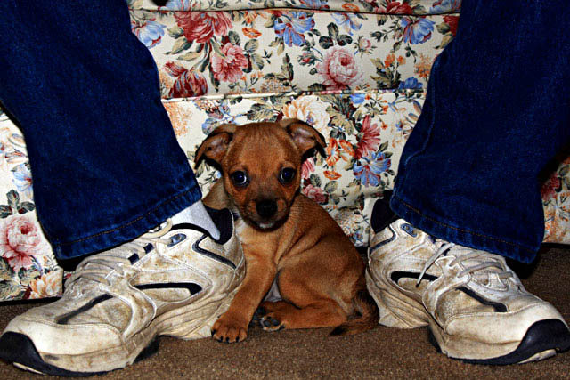 who you looking at?