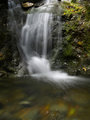 Cascade Falls on San Anselmo Creek