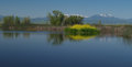 Sacramento Wildlife Refuge