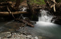 Ritchey Creek (another view)