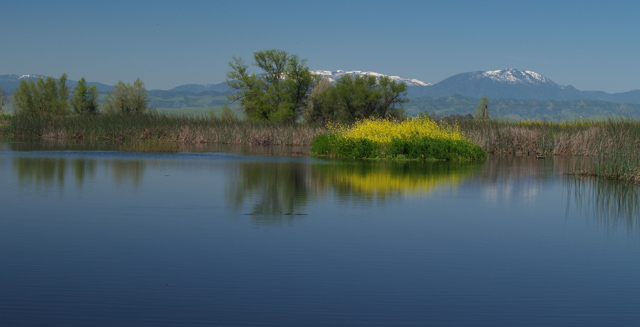 Sacramento Wildlife Refuge