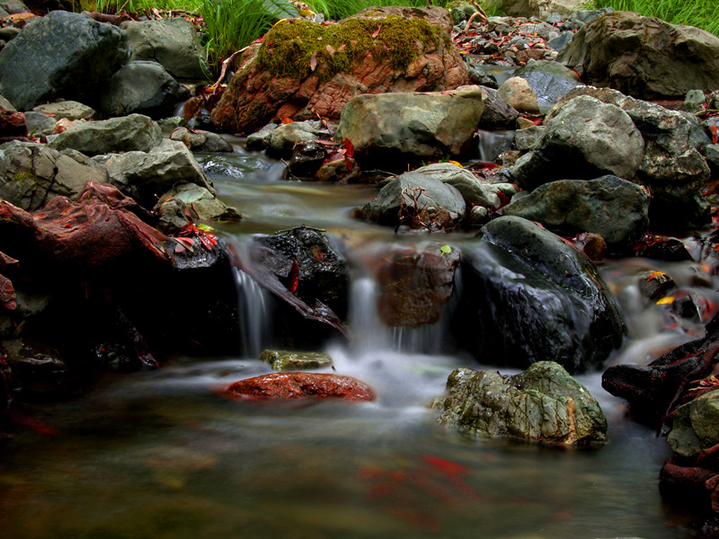 San Anselmo Creek
