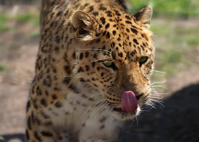 Feeding Time!