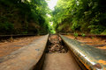 Tracks