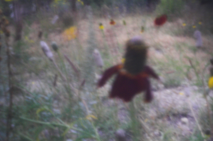 Outside with the Pinhole