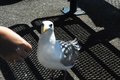 Beggar