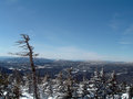 maine.jpg