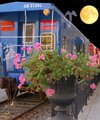 Moon Shot